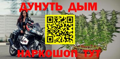 сатива Заводоуковск