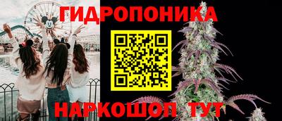 сатива Заводоуковск
