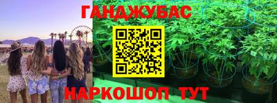сатива Заводоуковск
