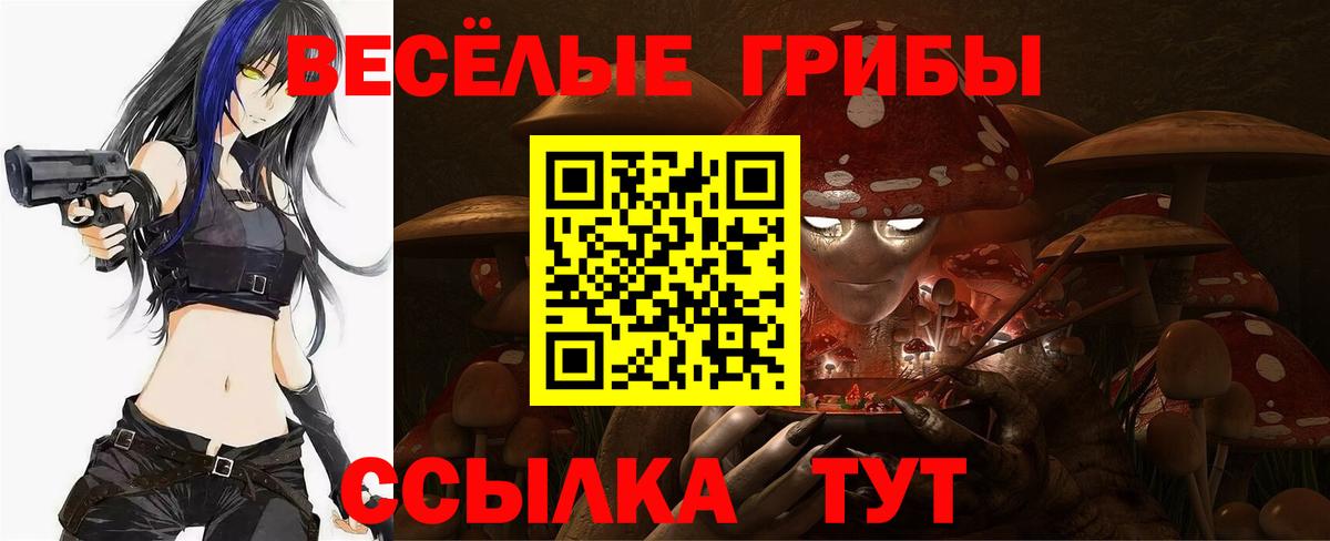 Псилоцибиновые грибы MAGIC MUSHROOMS  Вход с VPN  Бугуруслан 