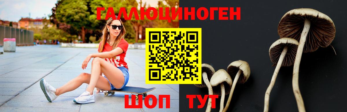 Галлюциногенные грибы GOLDEN TEACHER  Псилоцибиновые грибы Psilocybine cubensis  Бугуруслан 